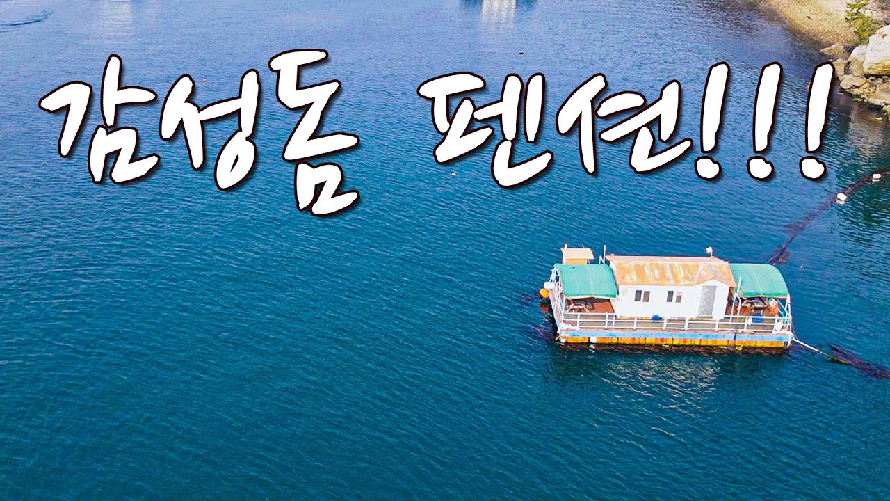 [다리tv]  대박!!! 한겨울에도 덩치급 감성돔이!!! 마릿수로 잡히는 펜션!!!