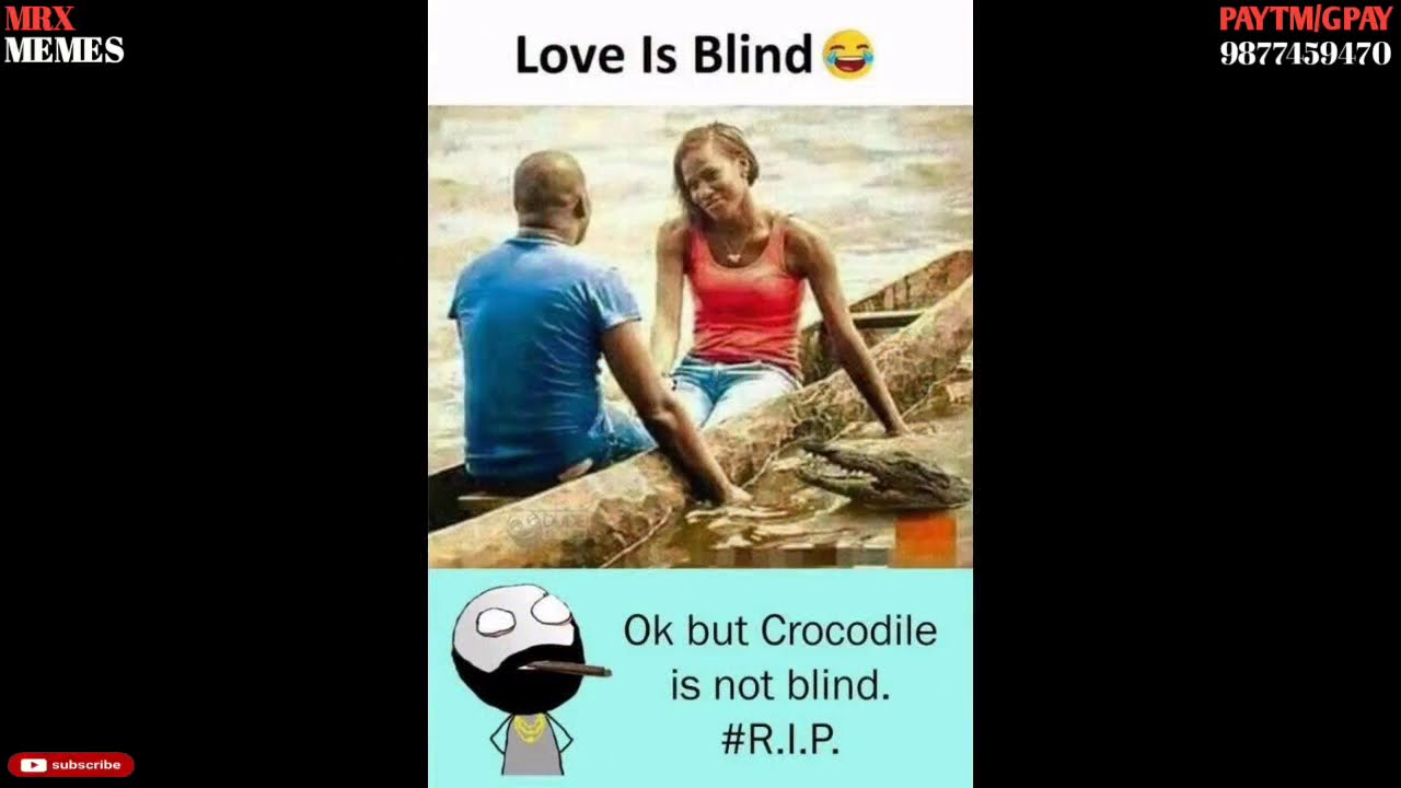 #MRXMEMES Random funny memes🤣🤣🤣
