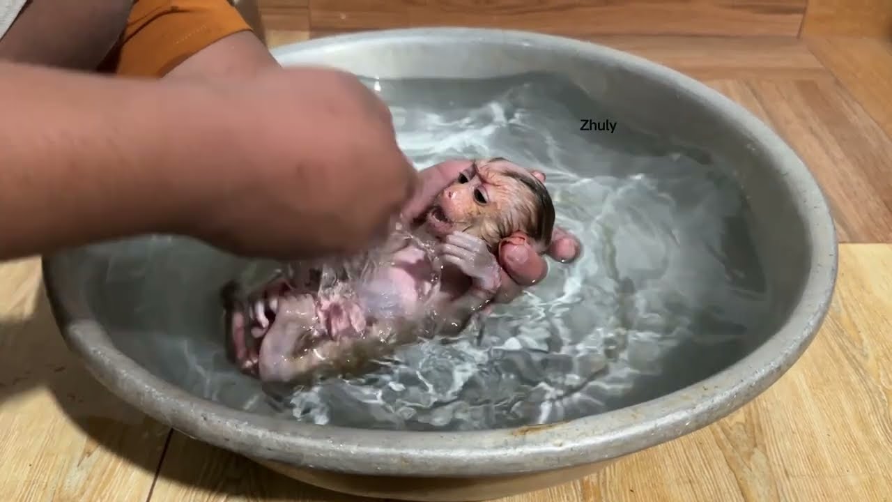 Zhuly Bath  In To The Bathtub