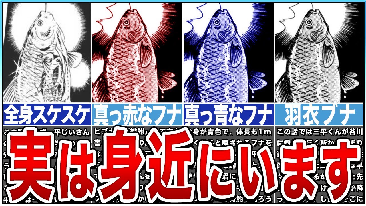 【釣りキチ三平】フナ釣り５選！身近なのに不思議な鮒が登場！ゆっくり解説