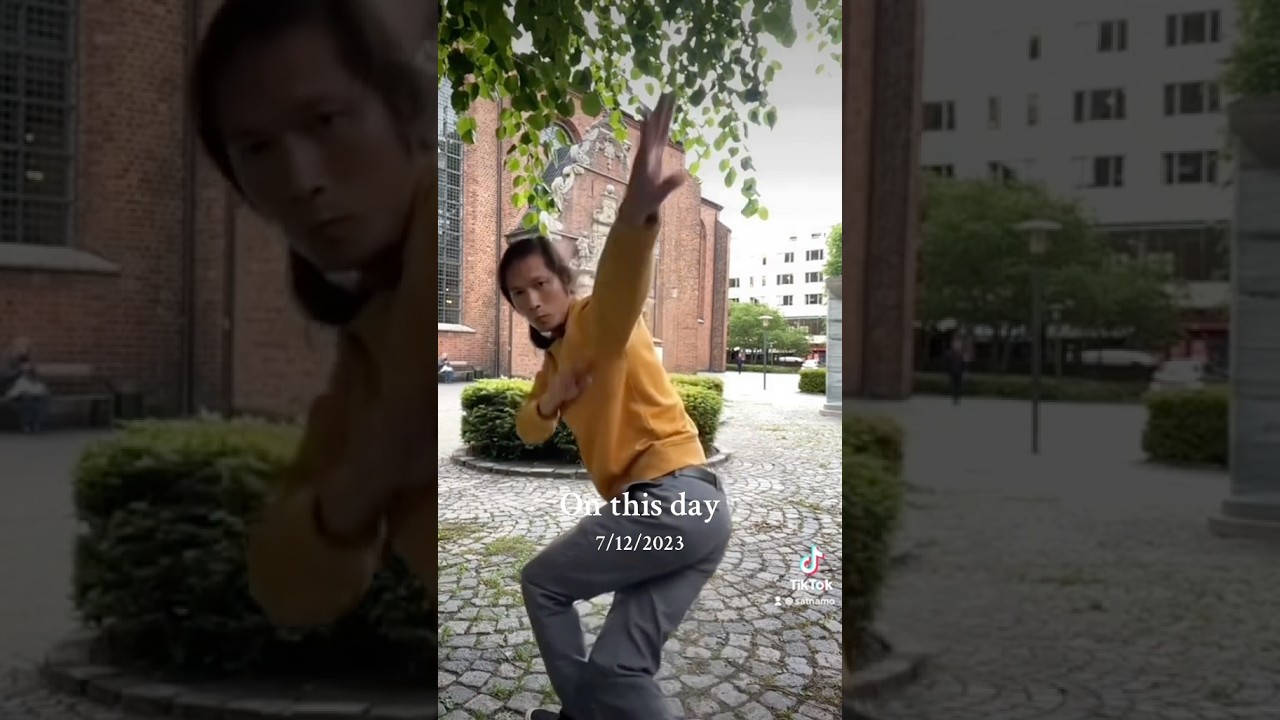 Wudang Taijiquan