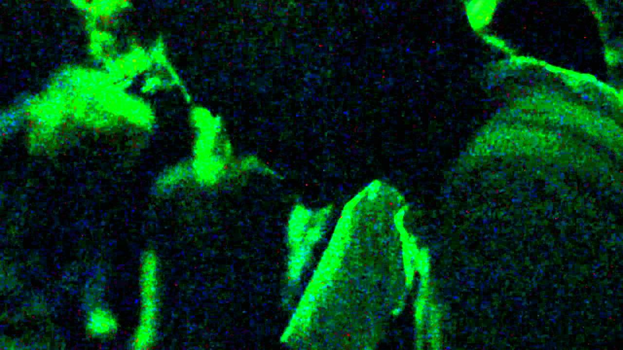 SELF INFLICTED - Live @ Fastcore Fest 5 (05/07/2014)