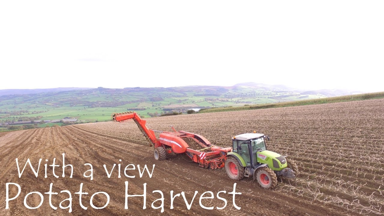 Potato Harvest - With Grimme GZ 1700 DLS
