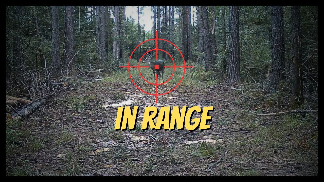 Deer Season Prep, Youth Hunt Tips, & Copperhead Close Calls
