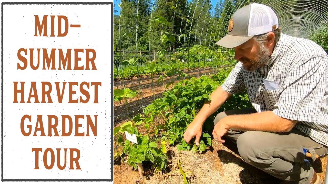 MID-SUMMER HARVEST GARDEN TOUR