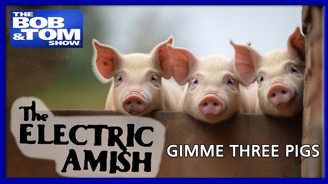 Gimme Three Pigs by the Electric Amish