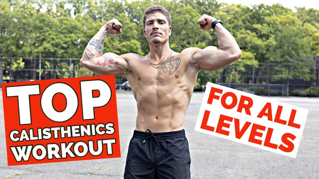 The Most OPTIMAL Calisthenic Training Plan | FULL BODY CALISTHENIC PROGRAM FOR ALL LEVELS