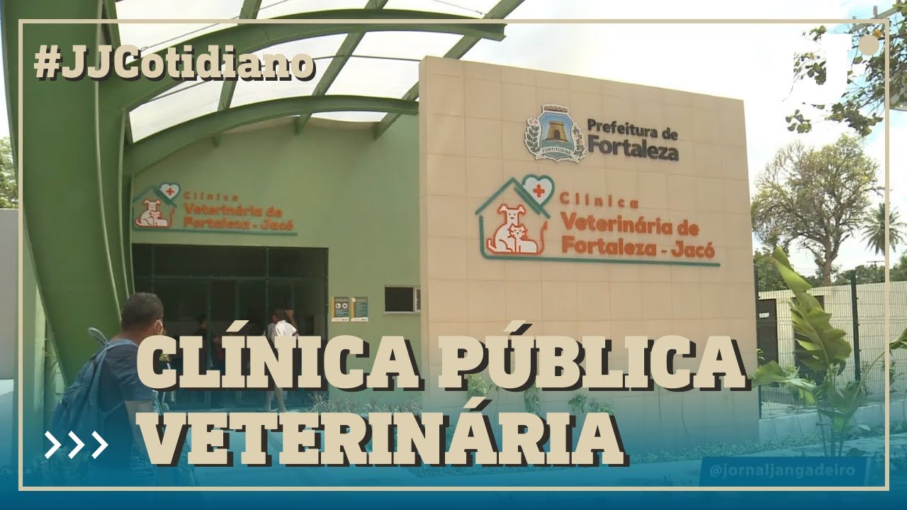Saiba onde conseguir atendimento veterinário gratuito
