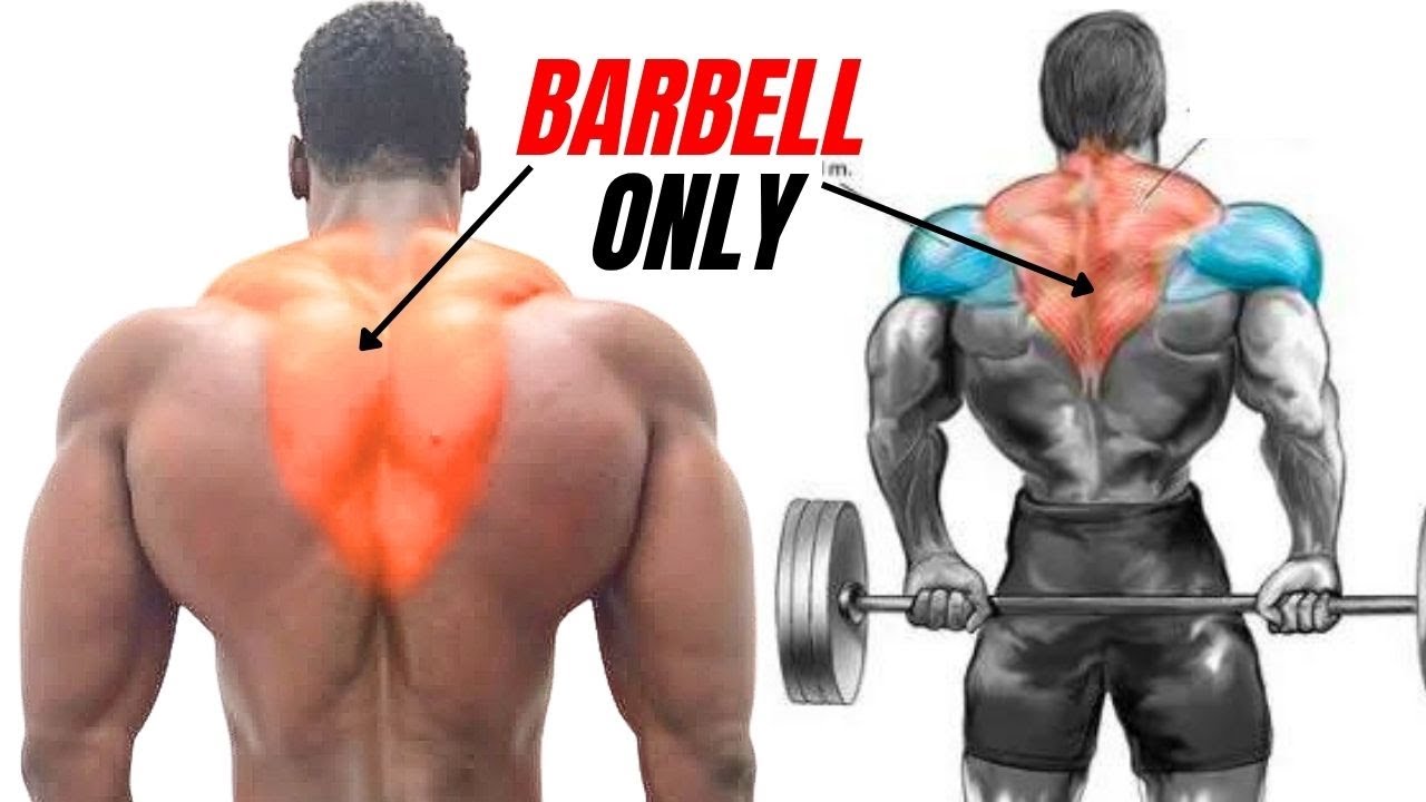 5 best traps workout  WITH  BARBELL ONLY   / MUSCULATION TRAPEZE ABEC BARBELL .