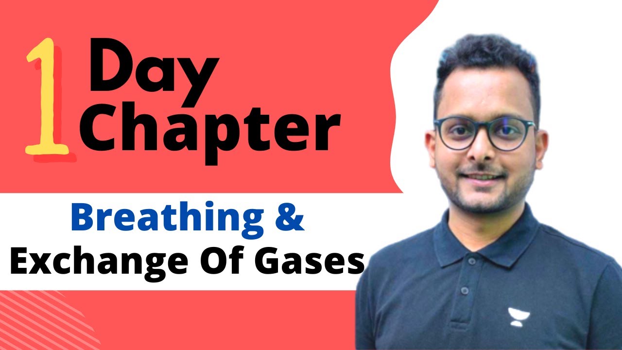 Breathing & Exchange of Gases | One Shot | अंतिम युद्ध 2.0 | NEET 2022 | Baibhav Kumar