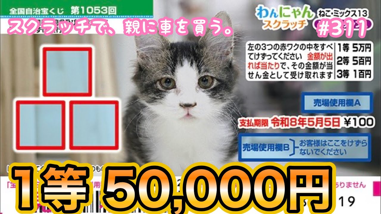 【わんにゃんスクラッチ ねこ･ミックス13  ドキドキチャンス】『1等5万円』目指して10枚セットで挑戦！！【宝くじ】