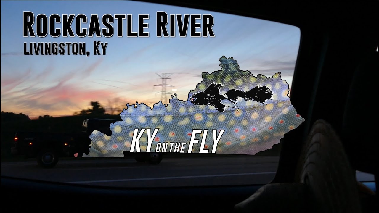 Rockcastle River Float & Fly Fishing