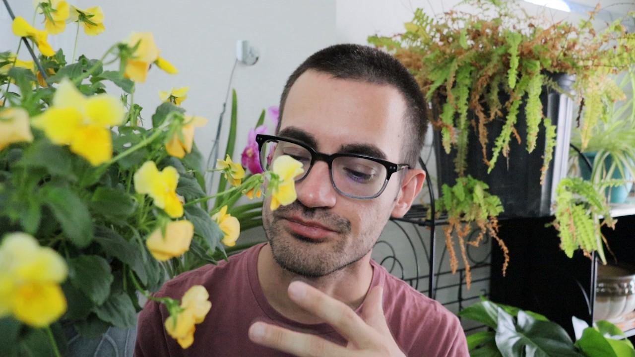 Your Visit to the Plant Store / Nursery (ASMR RolePlay)