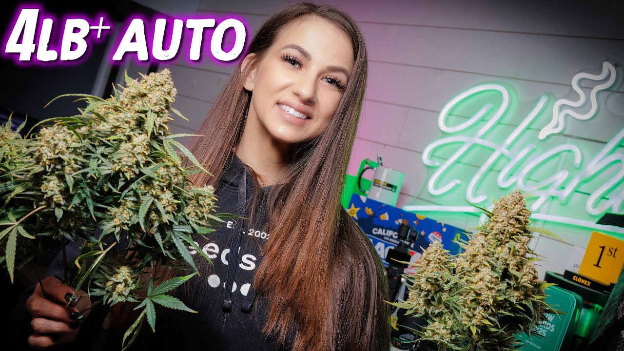 This is the BIGGEST Auto We Have Grown! 4lb+ 🌳🤯