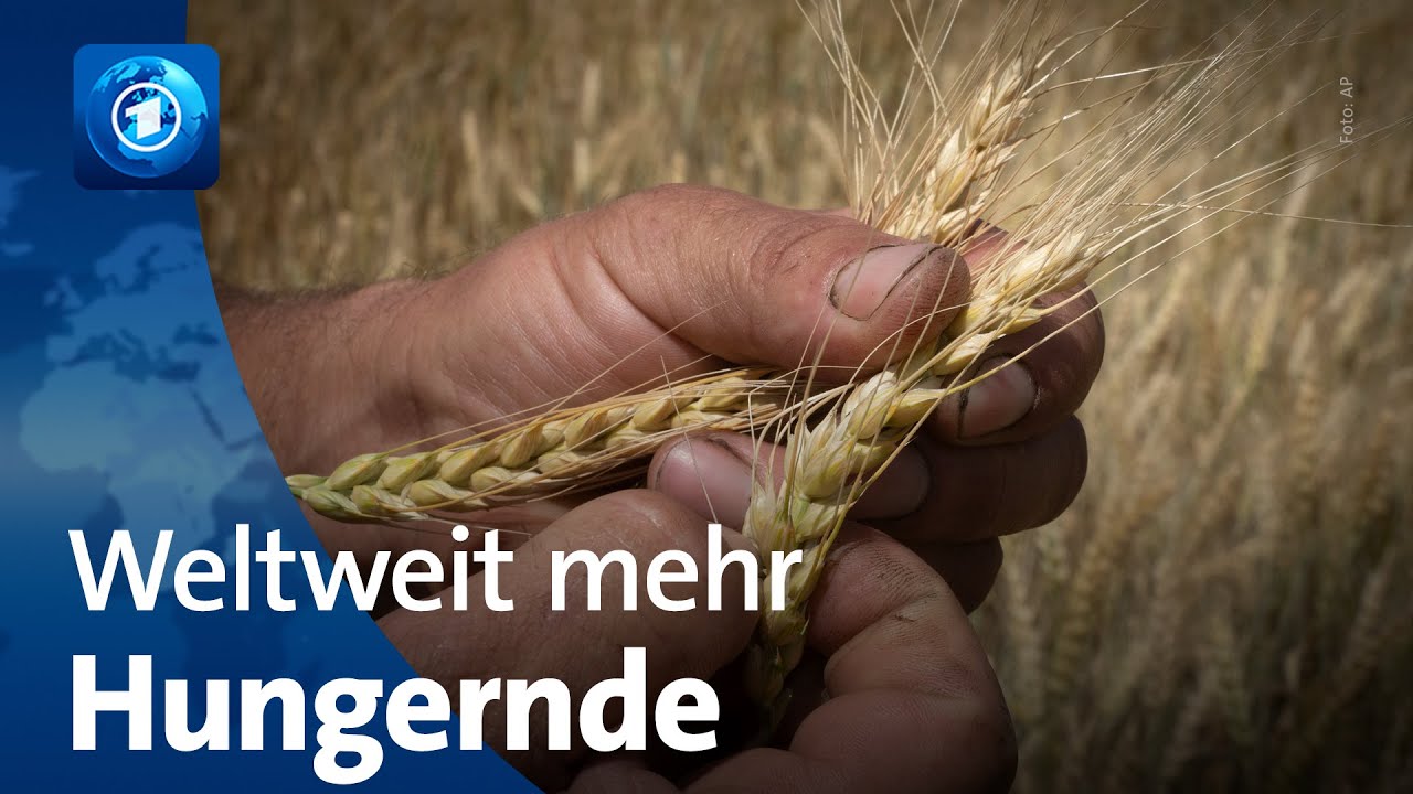 Bericht der Welthungerhilfe: Immer mehr Menschen müssen hungern