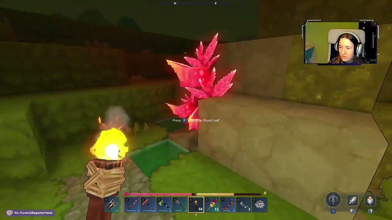 Hytale ~ S1E106 ~ Wir pflücken Blumen und Regale