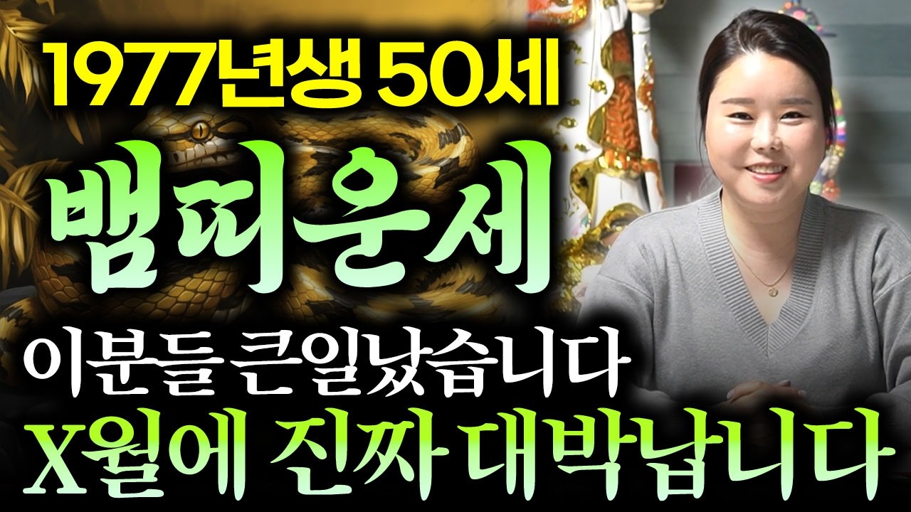 뱀띠분들 고생하셨습니다! 2026년 1977년생 49세 뱀띠운세 그동안 당한 배신을 보상받습니다! 병오년 77년생 뱀띠의 미래와 평생의 운세 / 2026년 병오년 49세 뱀띠 운세