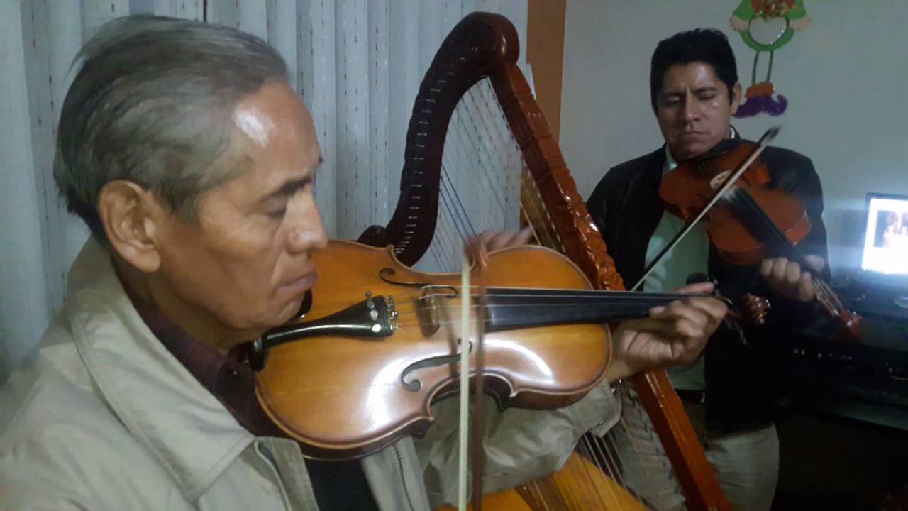 LIRIOS DEL ANDE DE ICHOCA