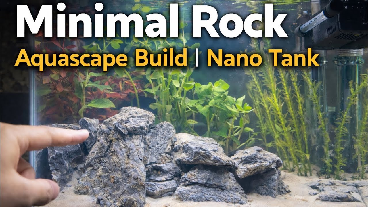 Minimal Rock Aquascape Build | Nano Tank