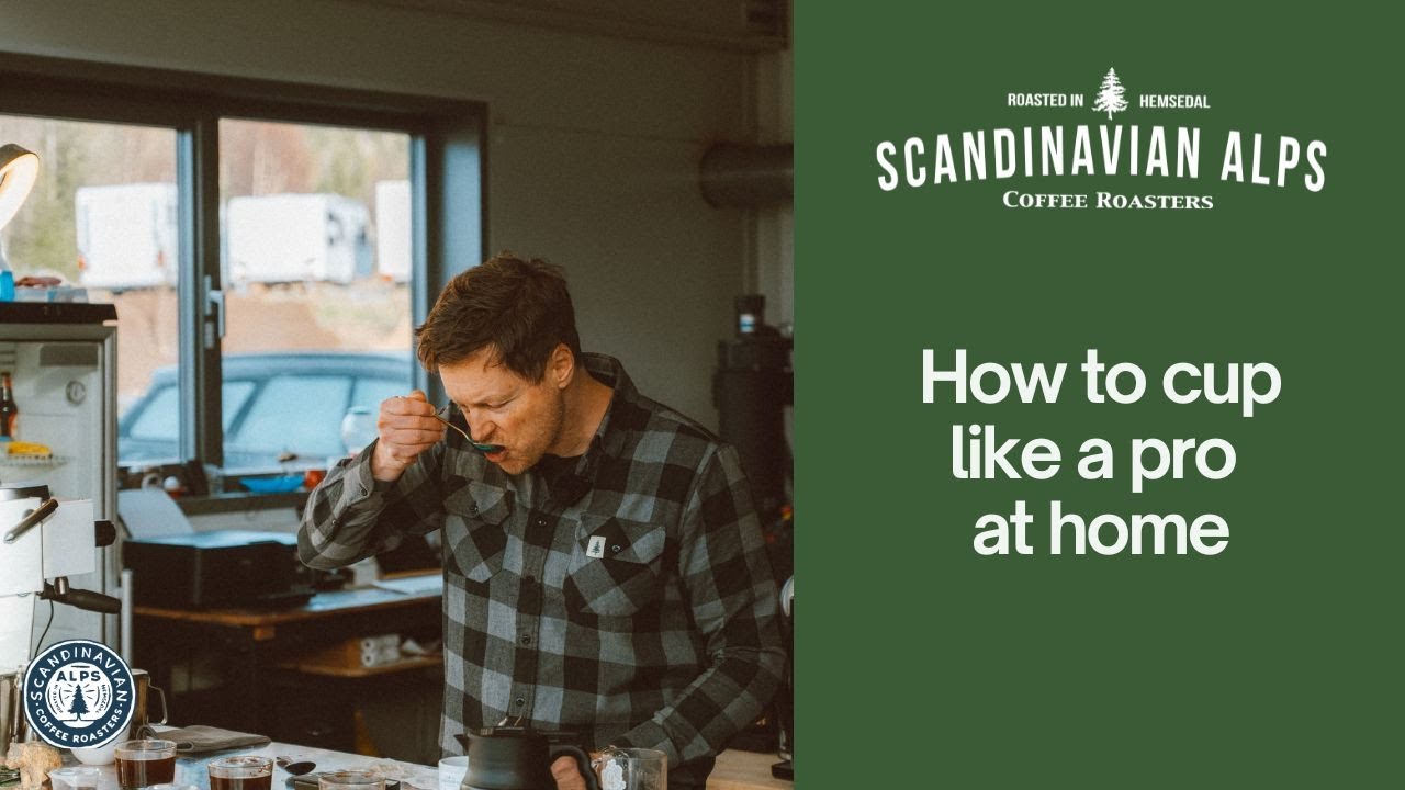 How to Cup Coffee Like a Pro at Home | Scandinavian Alps Coffee Roasters