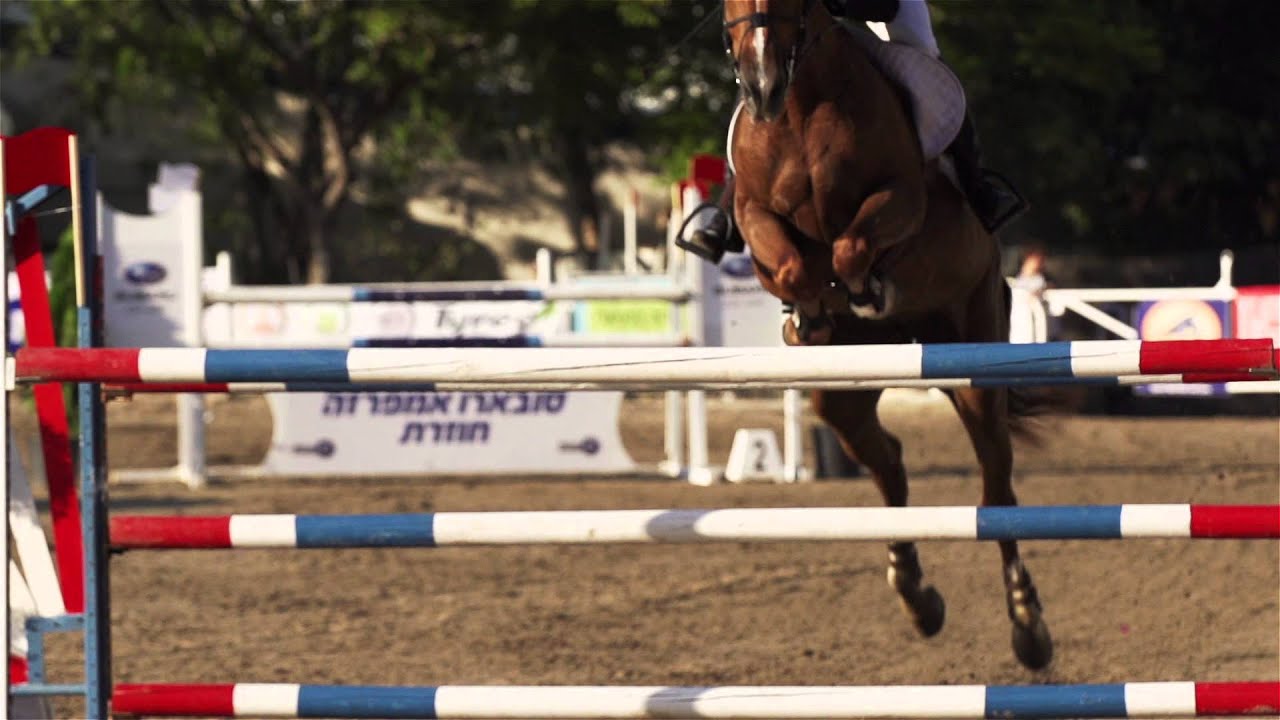 Horses in Motion - Slow Motion Horses at Maccabiah Games 2013