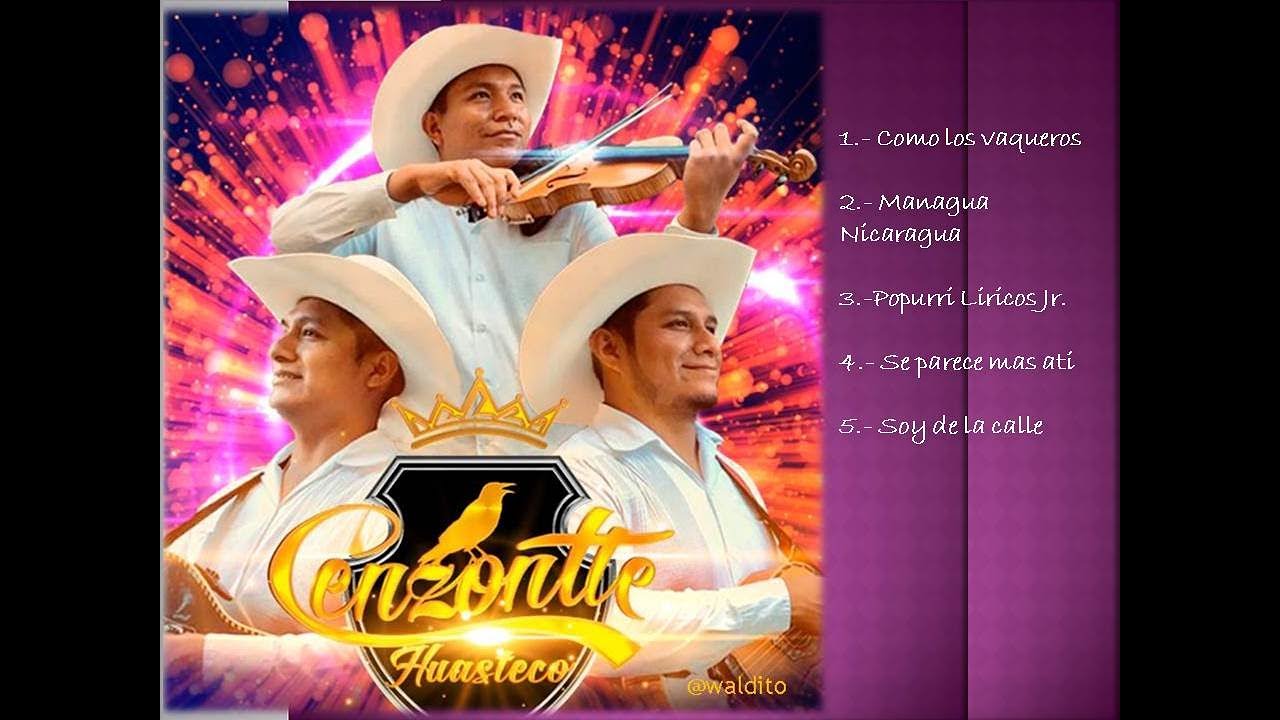 cenzontle huasteco - canciones 2021 - (Nuevo sencillo)