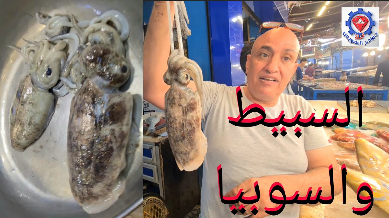 @ السبيط أو السوبيا السويسي معلومات وافيه عند الشراء وكمان طرق الطهي مع حاج محمد زغلول. 