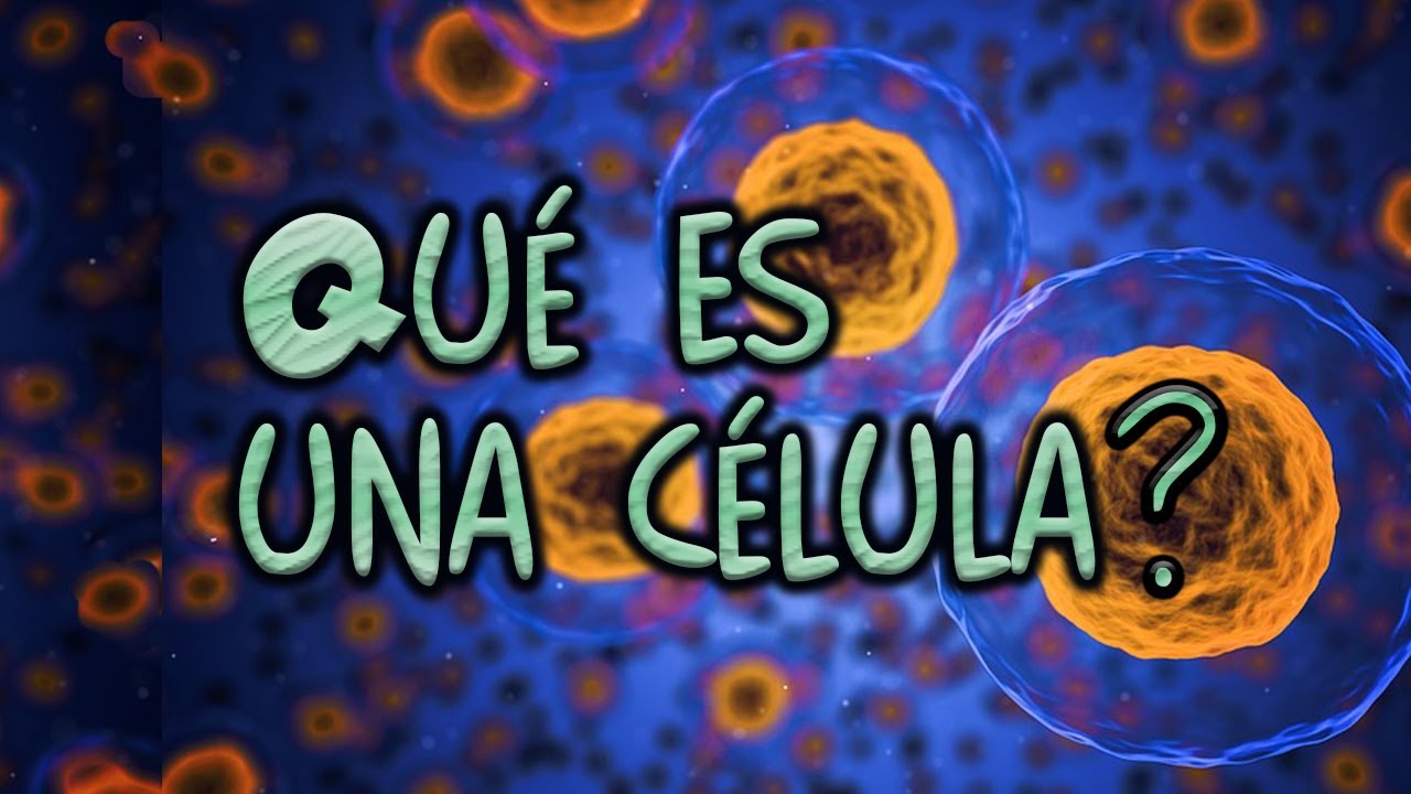 Qué es una célula (Parte I) (Células procariotas)