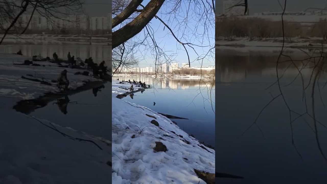 14 марта 2026 г.
