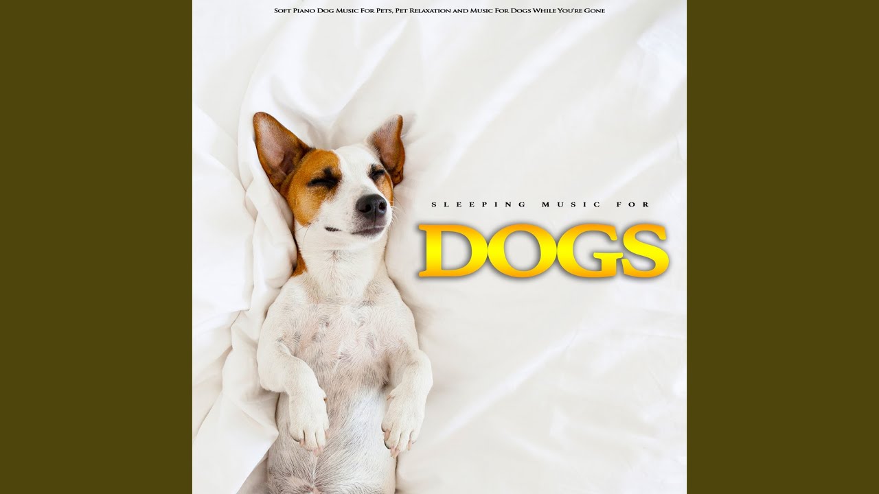Serene Music for My Dog