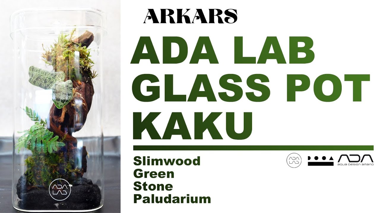 ARKARS_016「ADA LAB GLASS POT KAKU (Slim wood / Green / Stone / Paludarium) 」
