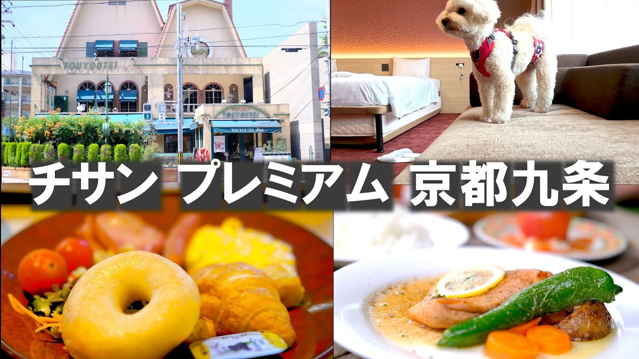 京都駅近のビジネスホテルに犬と泊まる最高の一日！チサン プレミアム 京都九条  キャピタル東洋亭本店