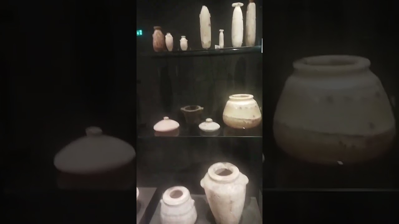 سلمى بنتي في المتحف المصري الكبير في مفجأه في الفديو اتفرجوا للأخر🤫♥️