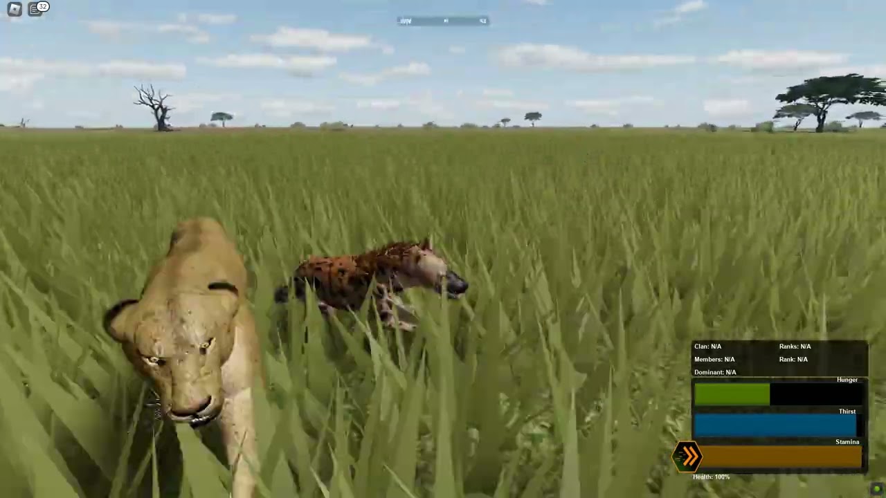 #14  Una Hiena Solitaria | hiena manchada | WILD SAVANNA |Roblox Gameplay