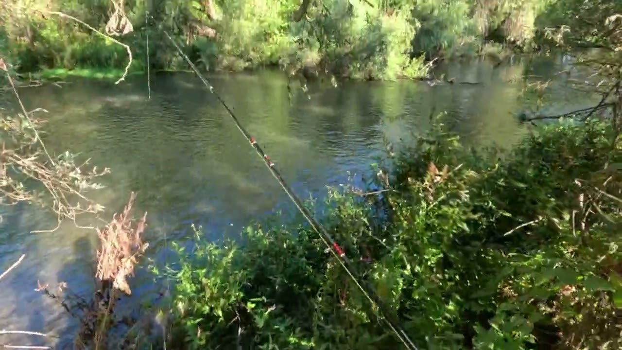 Wild part of Ogosta 