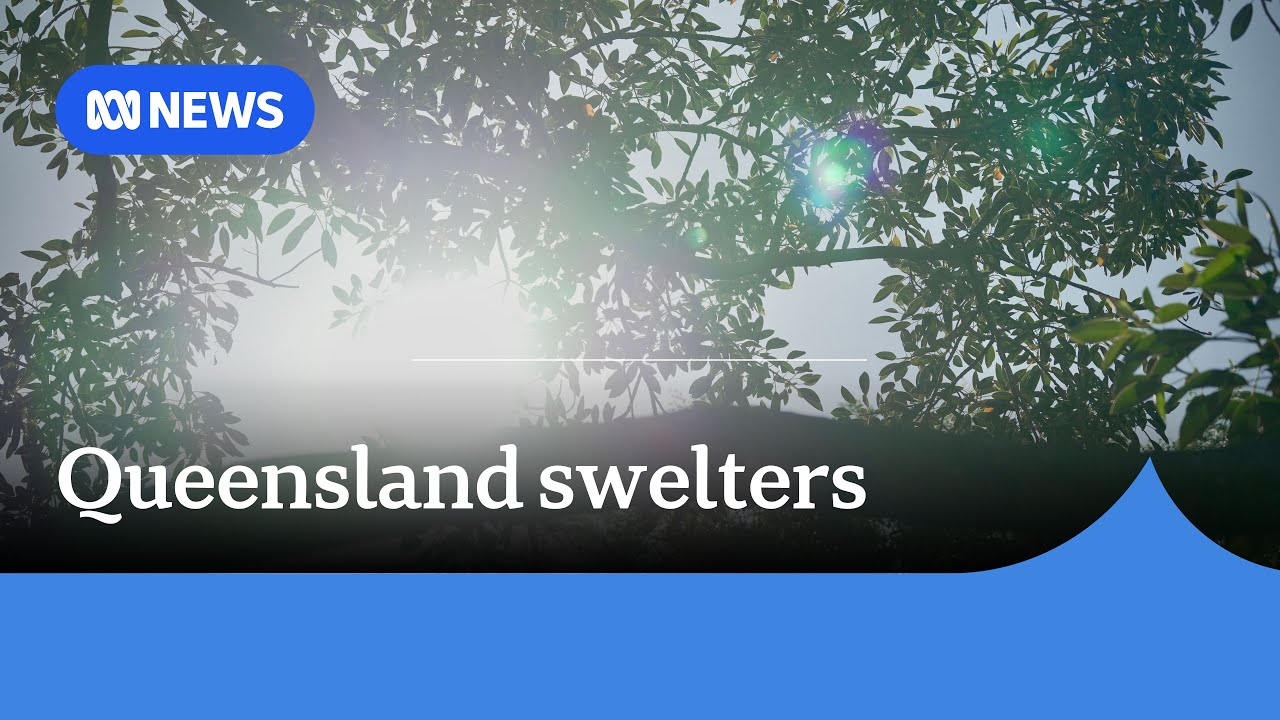 South-east Queensland swelters through searing heat | ABC News