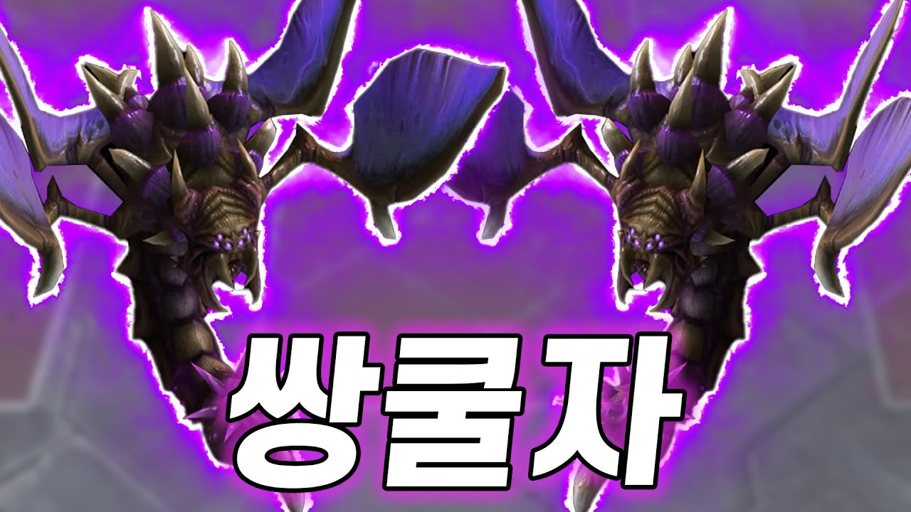 [랜타디] 의외의 사기성을 보인 '신규 타워 : 쿠쿨자'