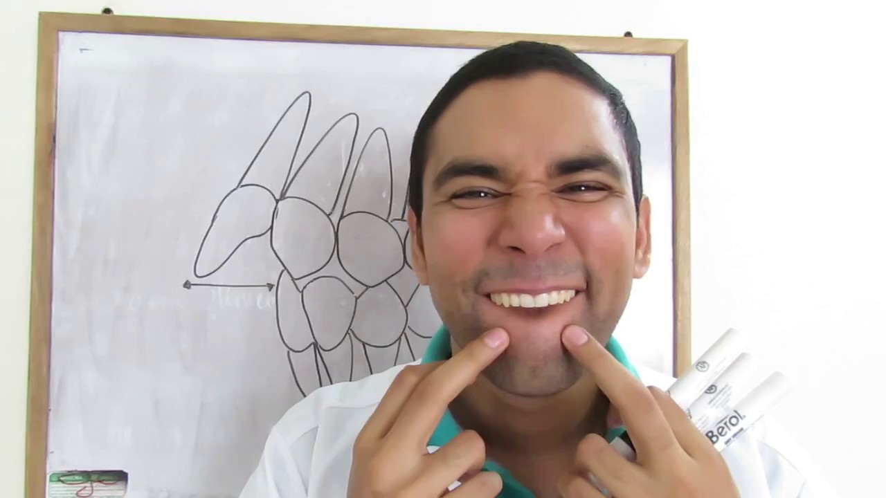 Que es un paciente Clase II en Ortodoncia y Odontologia? y como se corrige?