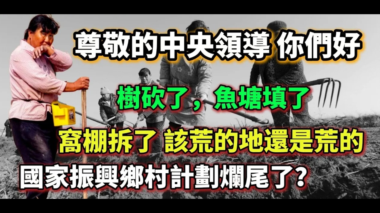 尊敬的中央領導你們好：振興鄉村計劃爛尾了嗎？聊一聊牆內，正在發生的荒唐事