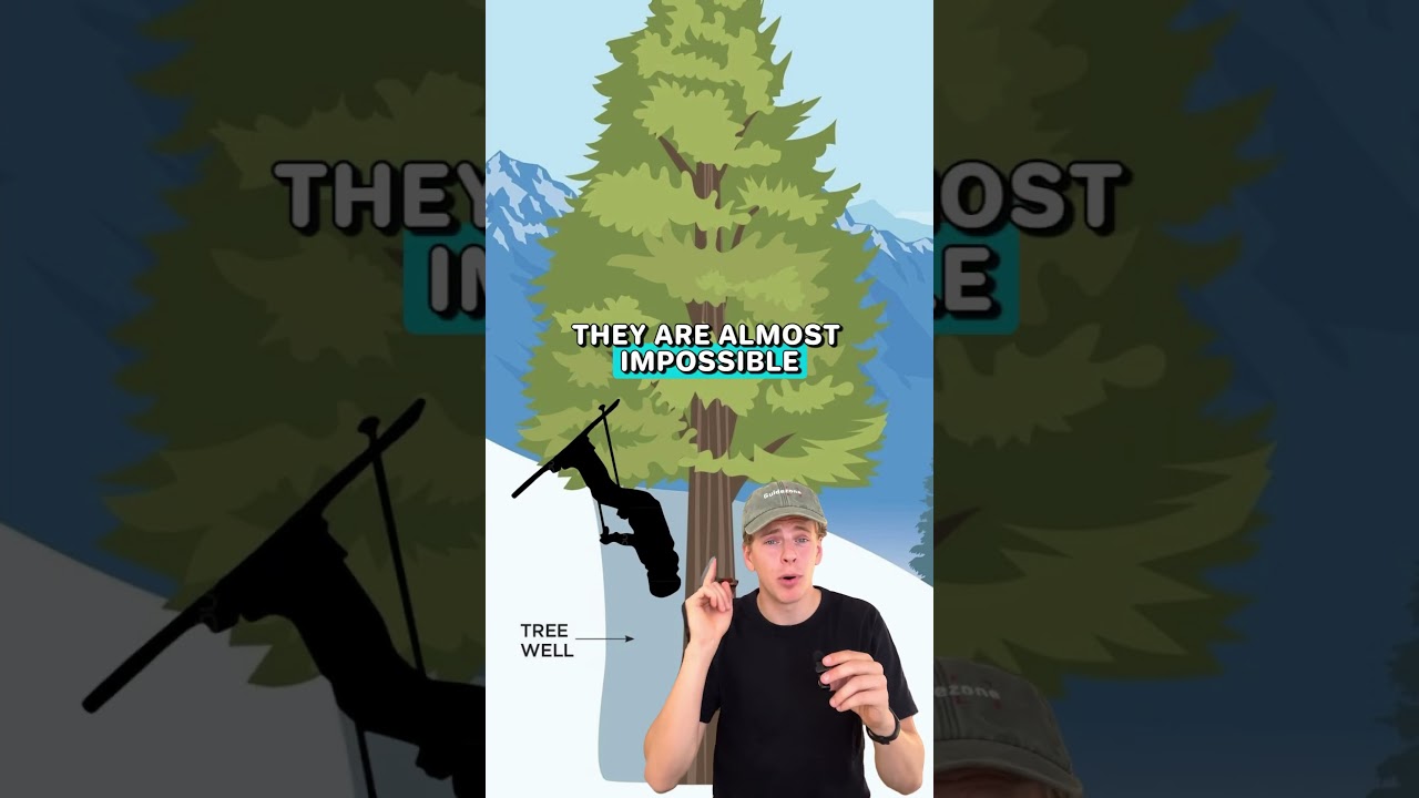 Treewell danger