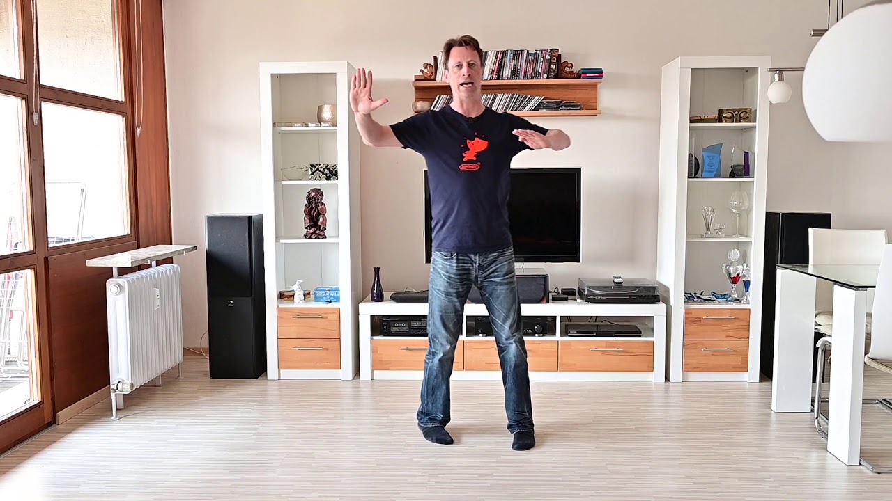 Lets Dance Disco Fox