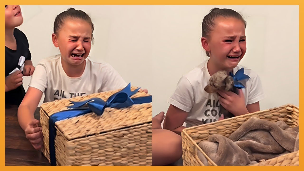 NEW PUPPY SURPRISE COMPILATION 2026 | WHOLESOME SURPRISE MOMENTS