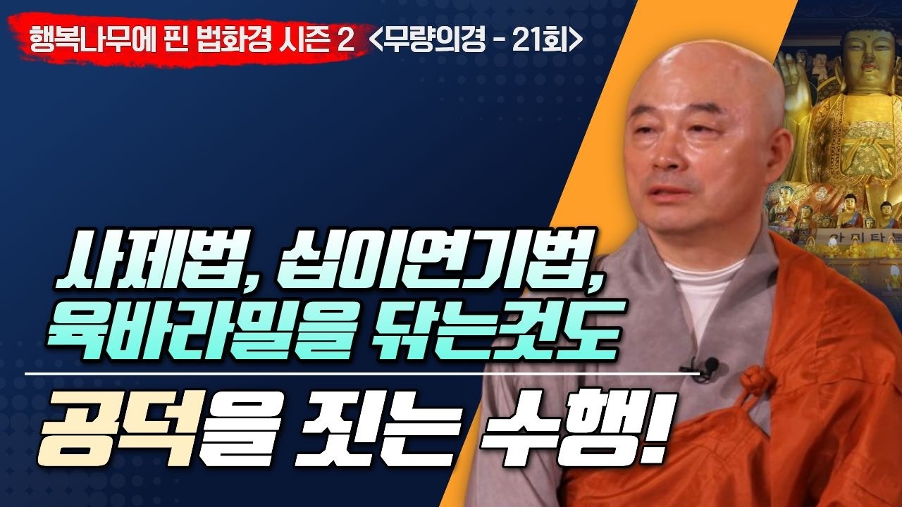 🙏사제법, 십이연기법, 육바라밀을 닦는 것도 공덕을 짓는 수행🙇‍♀️! [행복나무에 핀 법화경 시즌2 / 무량의경-21회]
