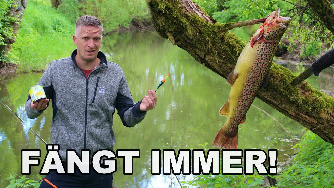 Damit fängst du IMMER - Angeln like a Opa!