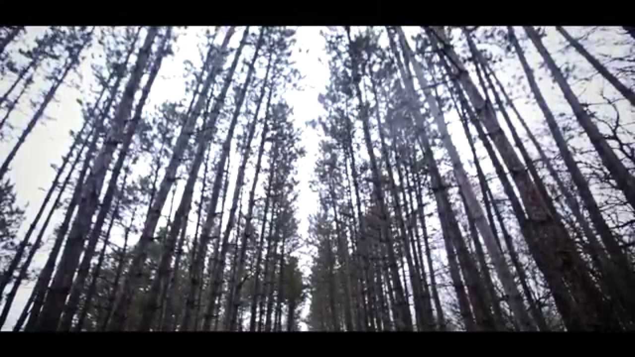 Kadoka | Grandmother Water - Live at Rice Creek [HD]