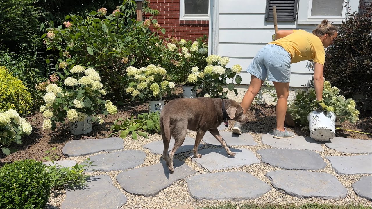 Creating a Bistro Garden in my Backyard! Laying Hardscaping, Planting Hydrangeas, Painting Antiques