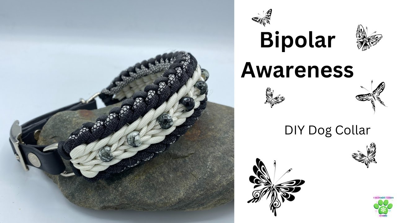 Bipolar Awareness DIY Dog Collar