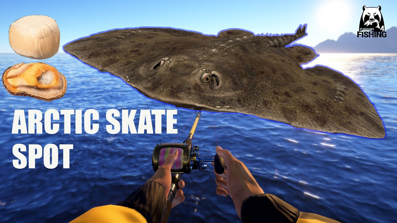 Russian Fishing 4 RF4 Norwegian Sea. Spot Arctic Skate