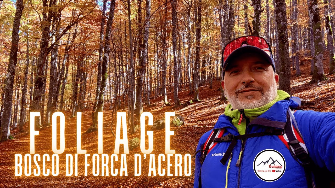 FOLIAGE - Bosco di Forca d'Acero - Un viaggio nei colori dell'autunno