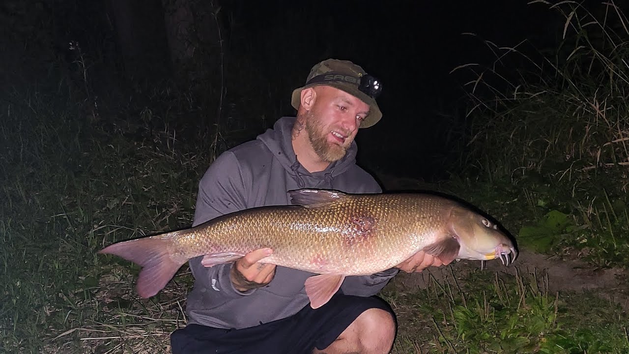 HUGE middle severn barbel - THE BARBEL PROJECT